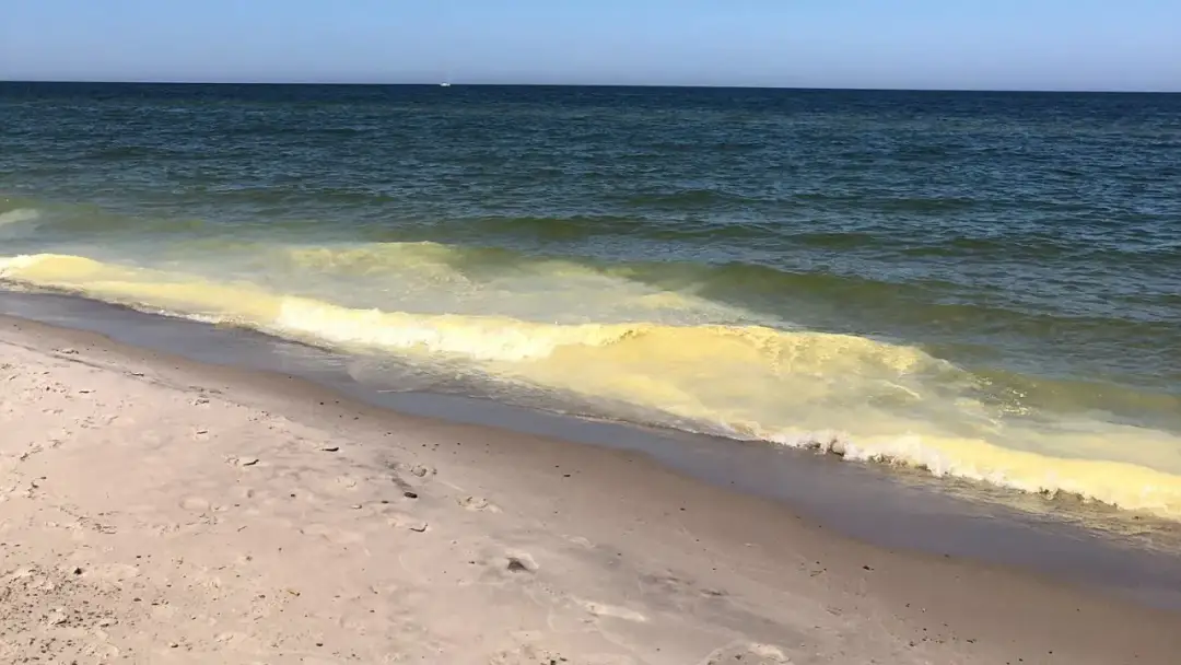 Jakie są właściwości wody w Bałtyku? Temperatury, zasolenie i ekosystem