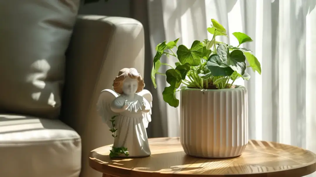 Piękne anioły i doniczki: jak wprowadzić je do swojego wnętrza