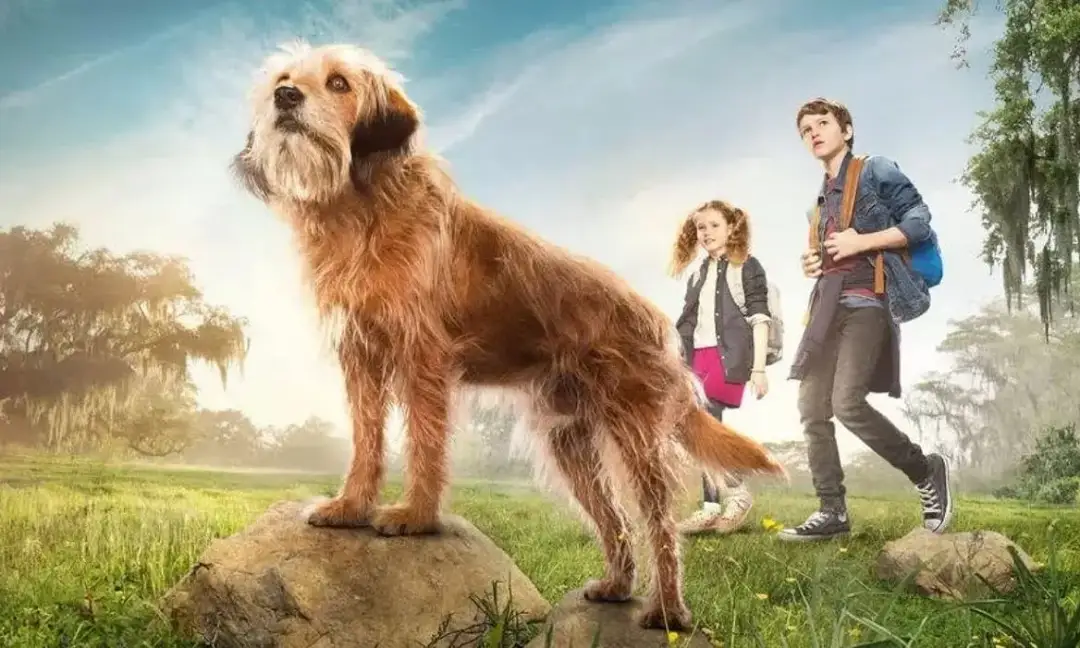 Filmy o psach na Netflixie, które wzruszą każdego miłośnika czworonogów