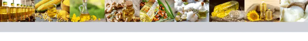 Aceite de maíz para freír: beneficios y secretos que no conocías