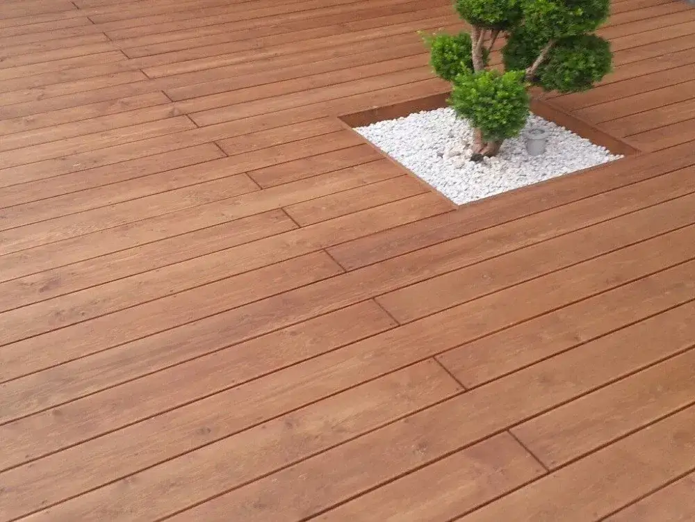 Modrzew europejski na taras: Naturalny urok i trwałość drewna