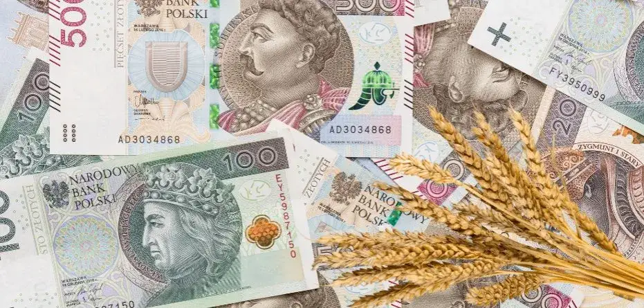 Ile kosztuje tona zboża w skupie? Ceny, które mogą Cię zaskoczyć