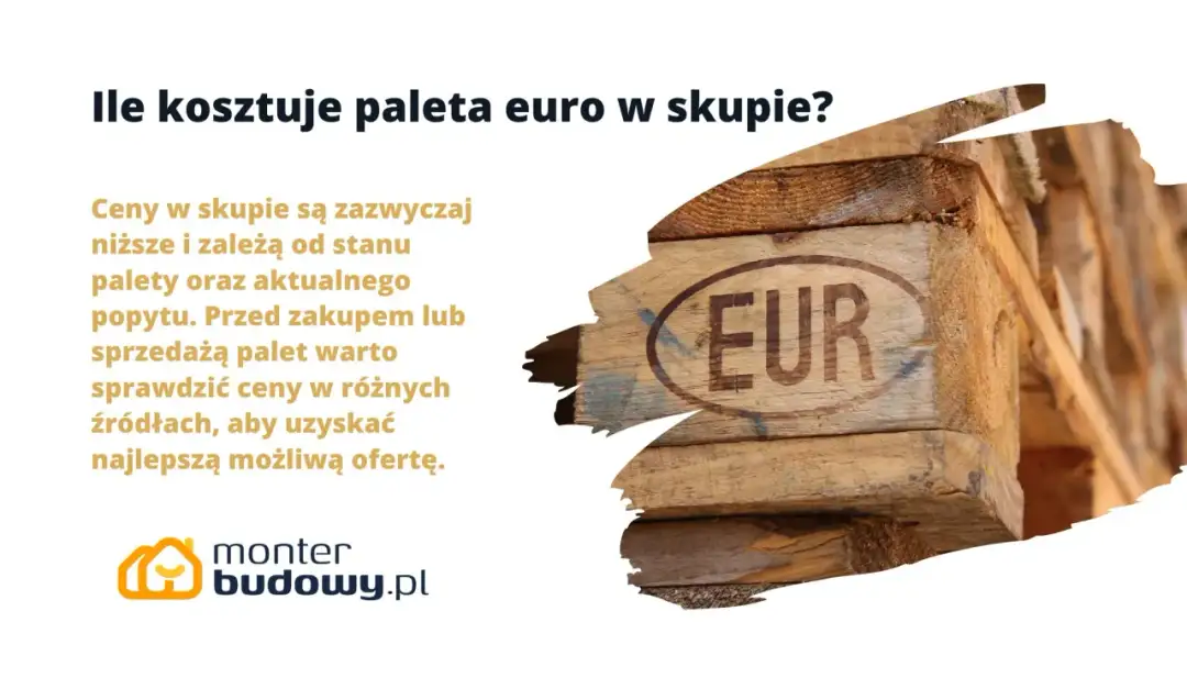 Ile kosztuje euro w skupie? Sprawdź, gdzie sprzedać euro najkorzystniej!