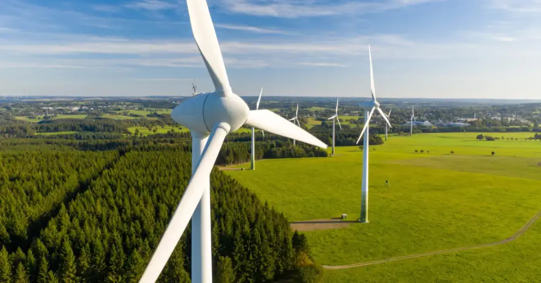 Czy elektrownie wiatrowe są ekologiczne? Odkryj ich ukryte wady i zalety