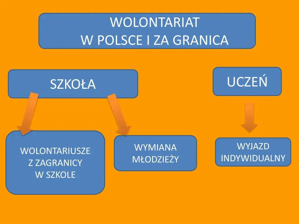 Jakie formy wolontariatu warto znać? Odkryj różnorodność możliwości