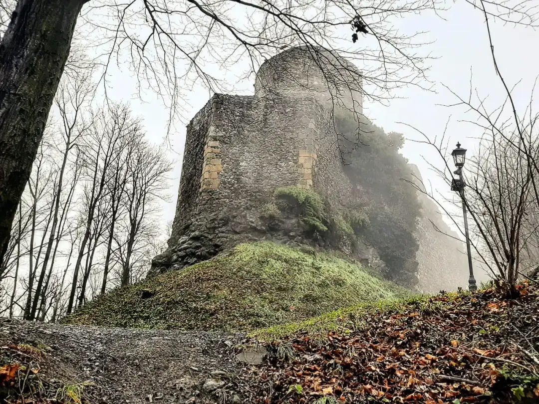 Zamek w Głogówku: Historia, architektura i aktualny stan zabytku