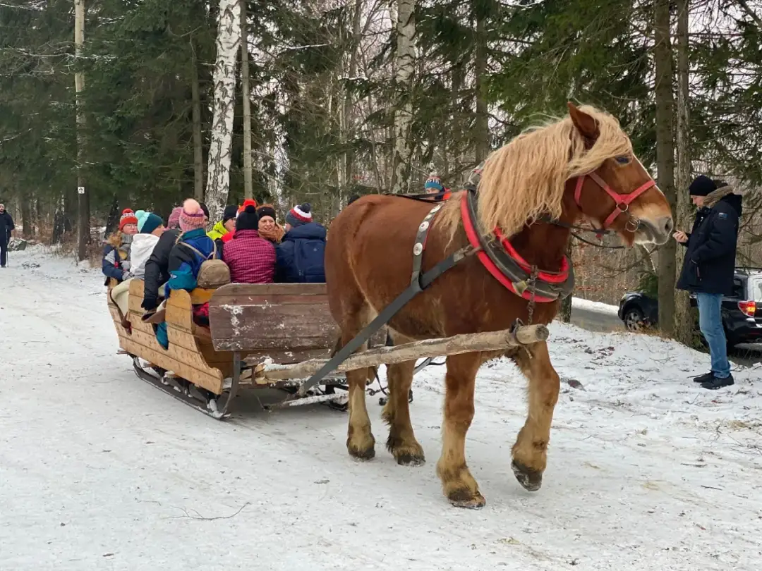 Szklarska Poręba zimą: 7 zimowych cudów, dla których musisz tu przyjechać