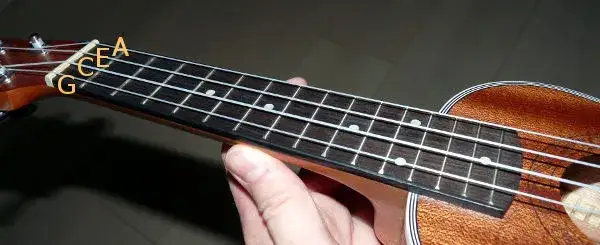 Jakie struny do ukulele wybrać: kompletny poradnik dla początkujących