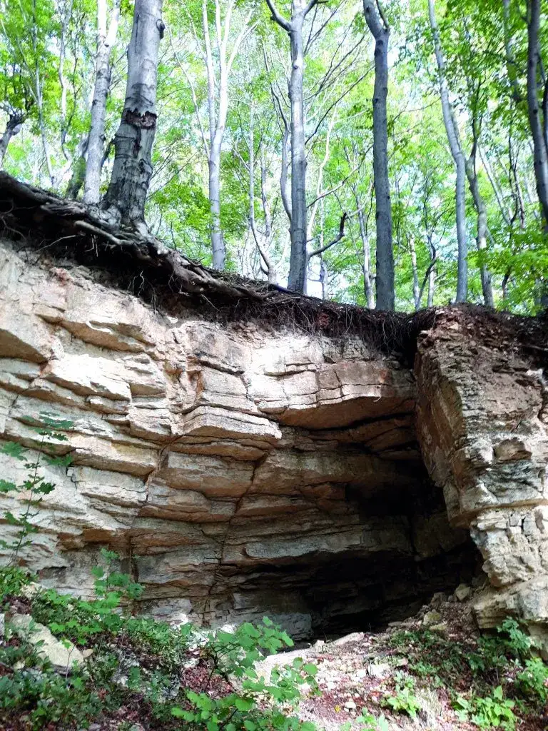 Rezerwat Przyrody Bukowica – co warto wiedzieć przed wizytą i jak uniknąć błędów