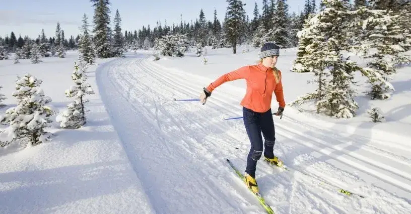 Gdzie na narty biegowe dla początkujących: najlepsze trasy w Polsce