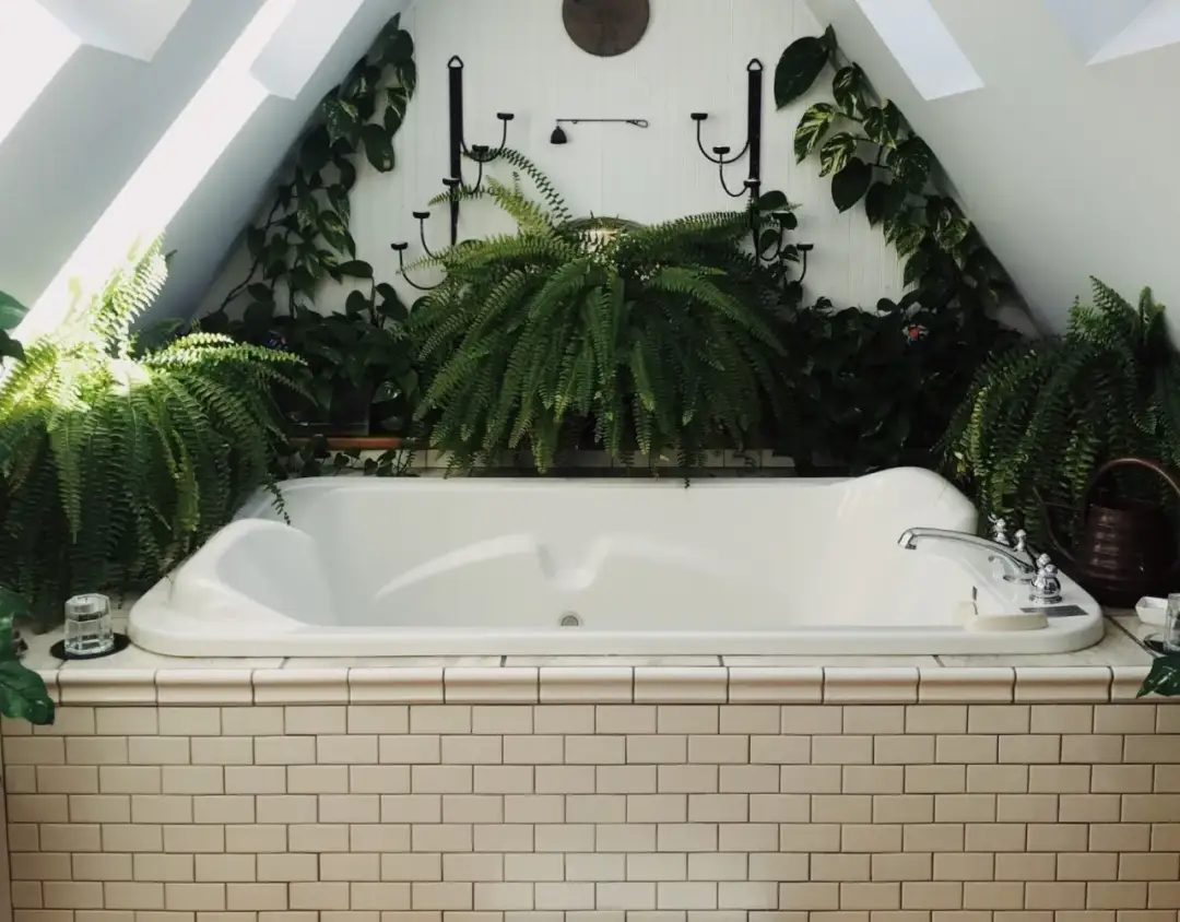 Jakie rośliny do łazienki bez okna przetrwają w ciemności i wilgoci? Praktyczne porady