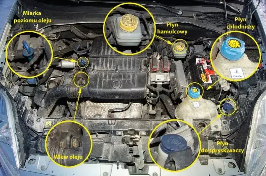 Płyny pod maską: kluczowe ciecze w Twoim samochodzie