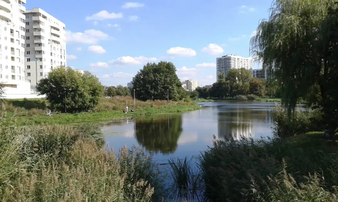 Jezioro Gocławskie - zielona enklawa dzikiej przyrody w centrum Warszawy