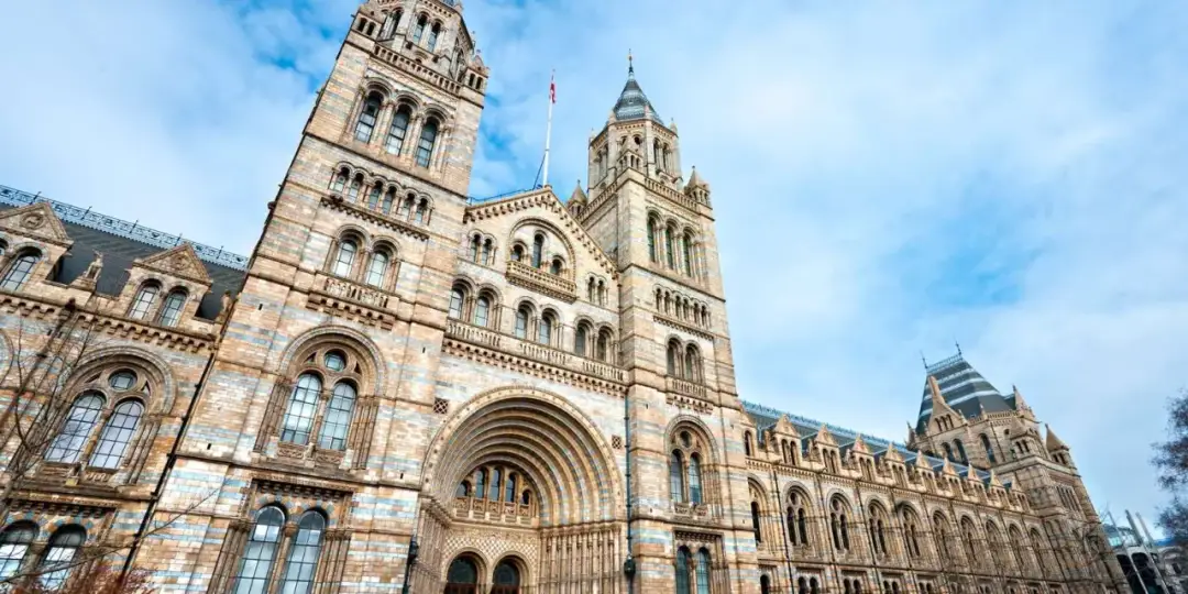 Muzeum sztuki naturalnej Londyn - co musisz wiedzieć przed wizytą