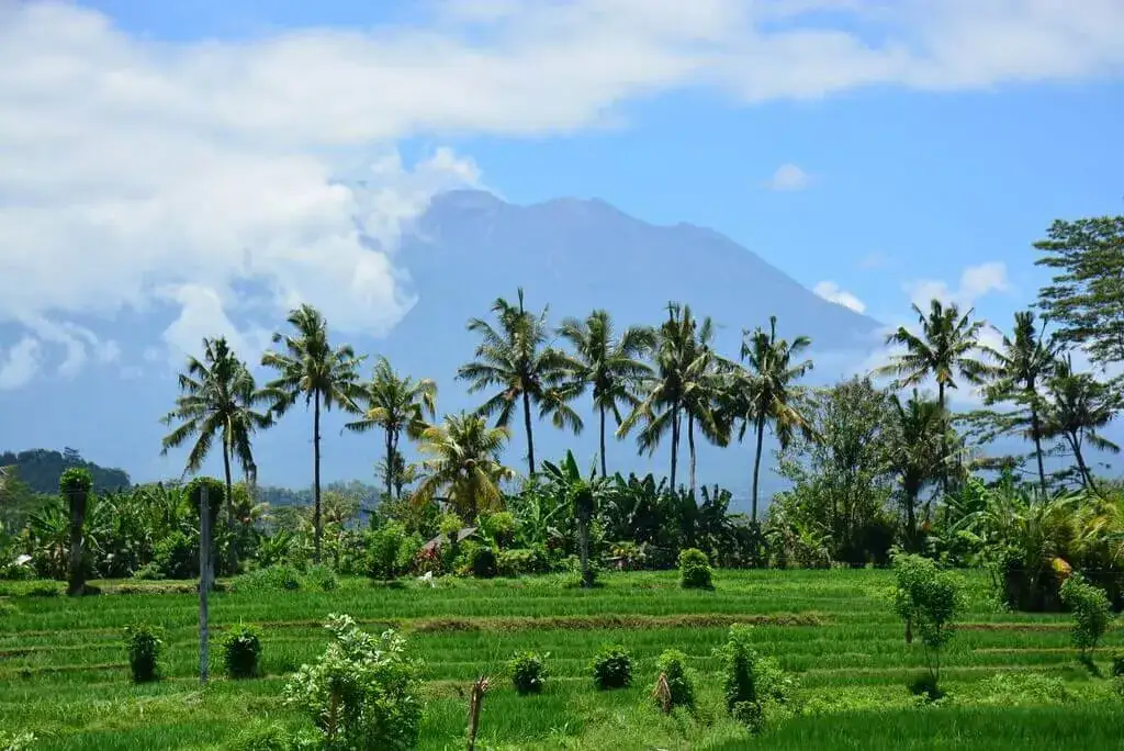 Pogoda na Bali w czerwcu: wszystko o temperaturze i opadach deszczu