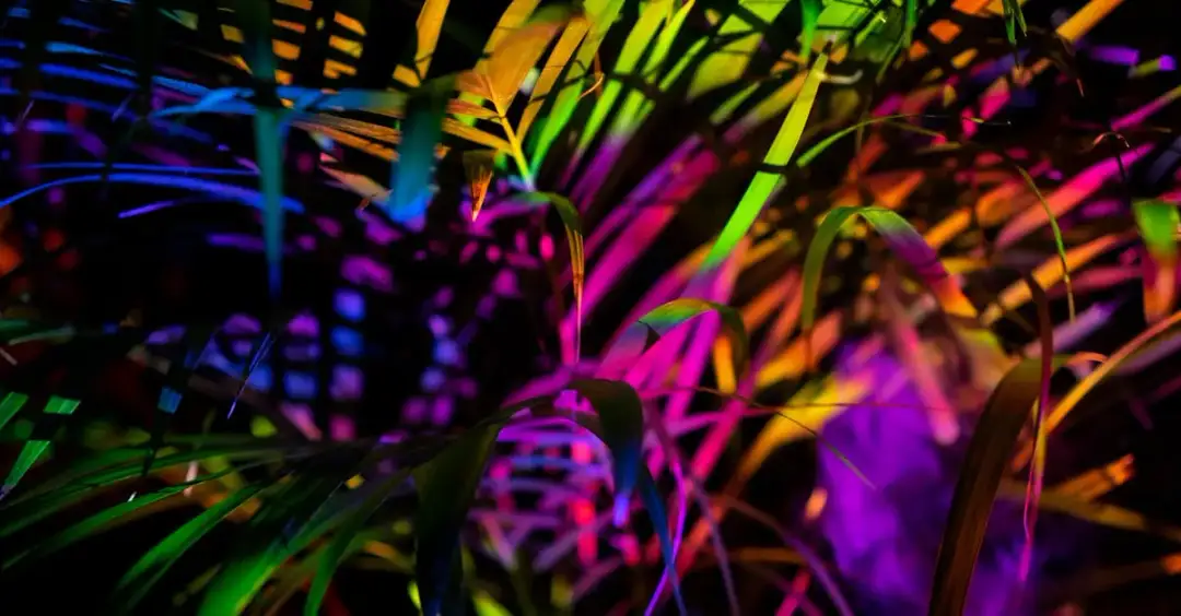 Muzyka filmowa: Jak kształtuje nasze emocje po seansie?