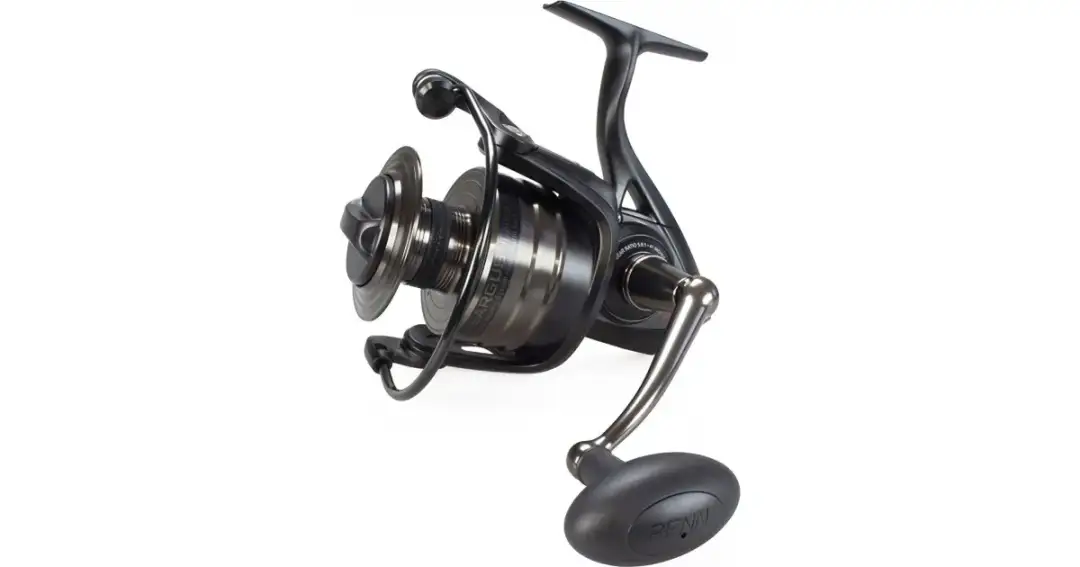 Welche Angelrolle ist gut? Die besten Empfehlungen für Angler