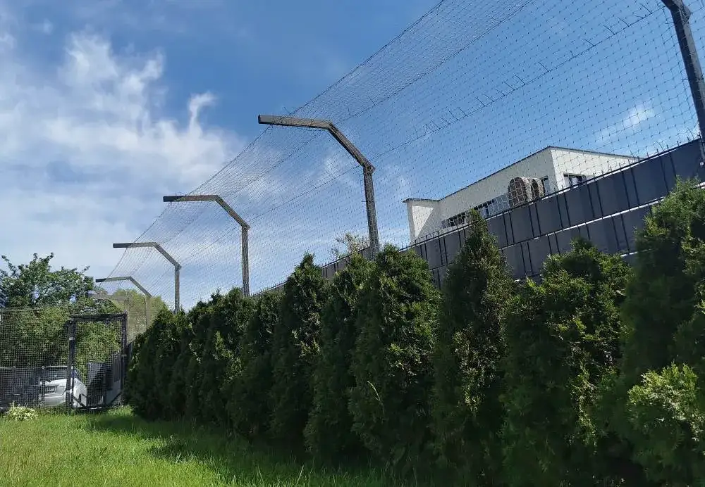 Jak zabezpieczyć ogród dla kota: skuteczne metody ochrony i bezpieczeństwa