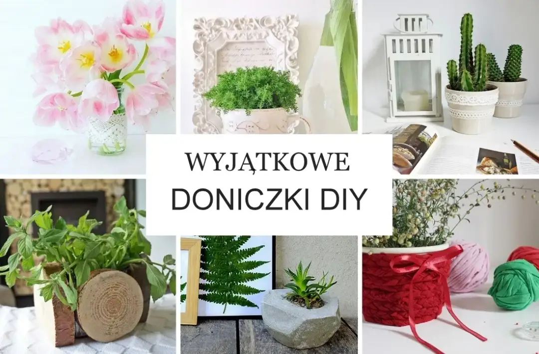Z czego można zrobić doniczkę? 10 kreatywnych pomysłów na DIY