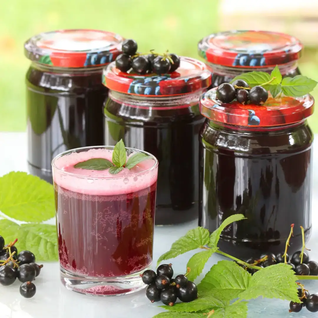 Jak zrobić sok z czarnej porzeczki – prosty przepis na domowy sok bez błędów