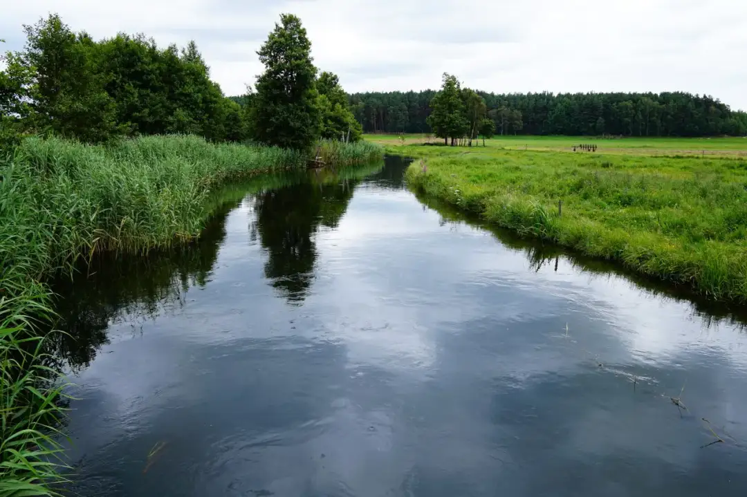 Gdzie na kajaki Pomorskie - najlepsze trasy i ukryte perełki