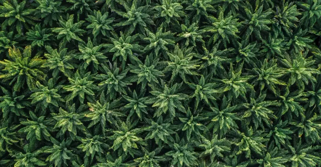 Czy filmy przyrodnicze zwiększają świadomość ekologiczną?