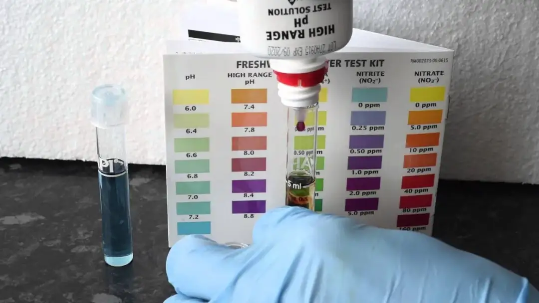 Domowe sposoby na pomiar pH w akwarium - prosty test wody