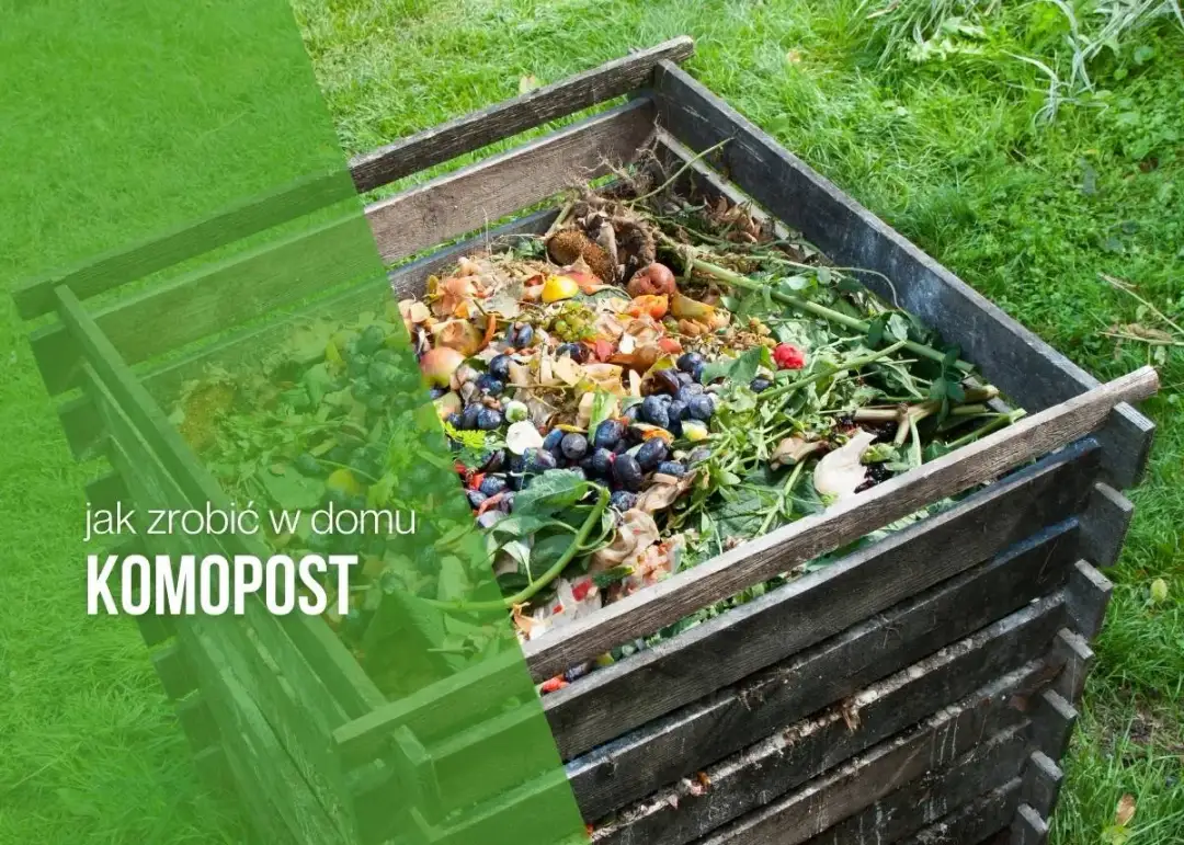 Jak zrobić kompost w domu: 8 kroków do własnego nawozu