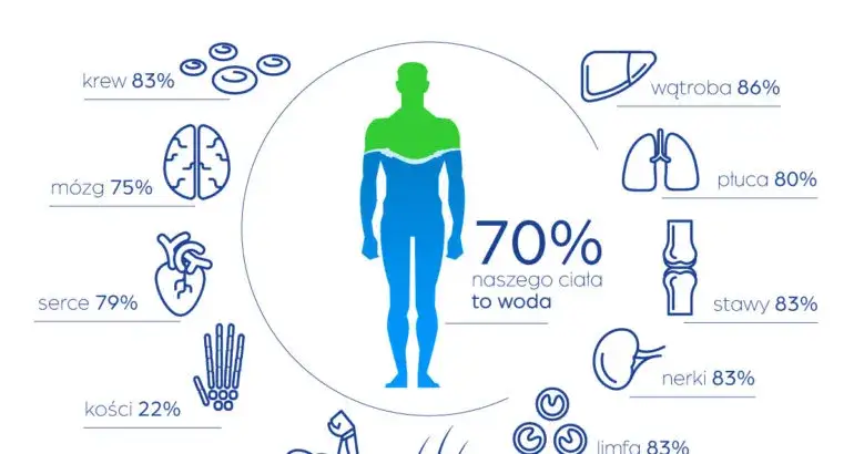 Jakie znaczenie wody w organizmie musi znać każdy - fakty i funkcje