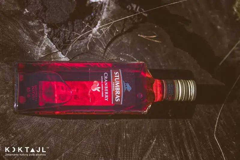 Pyszne drinki z wódki żurawinowej, które musisz spróbować