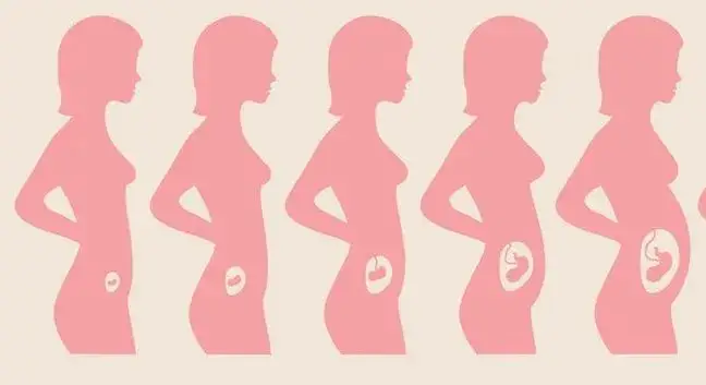 Co to jest trymestr w ciąży i jak wpływa na rozwój dziecka