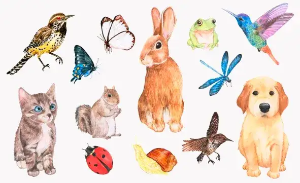 Które zwierzęta domowe są uważane za symbole szczęścia w różnych kulturach?