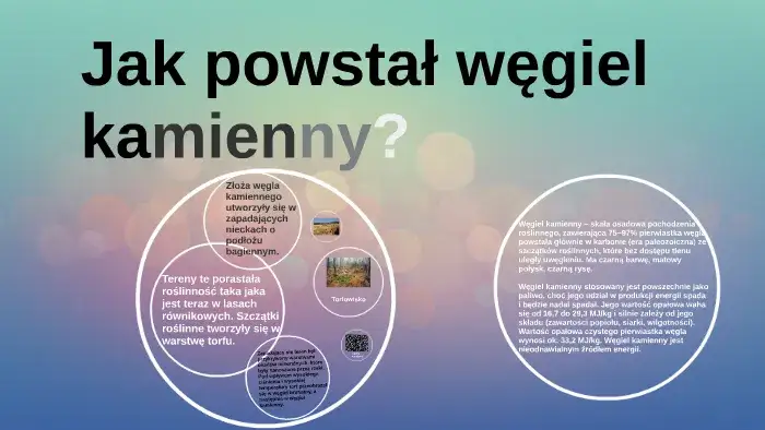 Jak powstał węgiel kamienny? Proces, warunki i tajemnice geologicznej historii