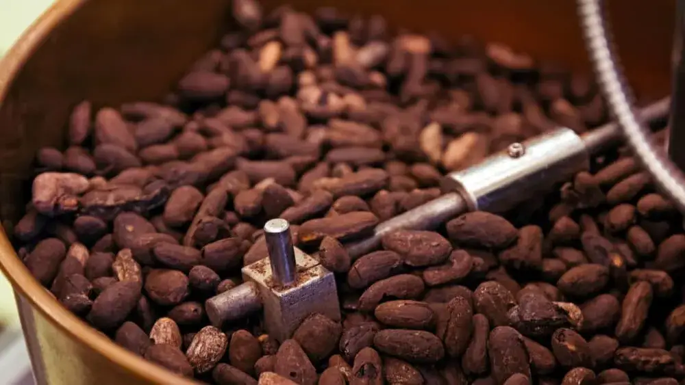 Jak powstaje czekolada ręcznie robiona: proces, etapy i tajniki produkcji
