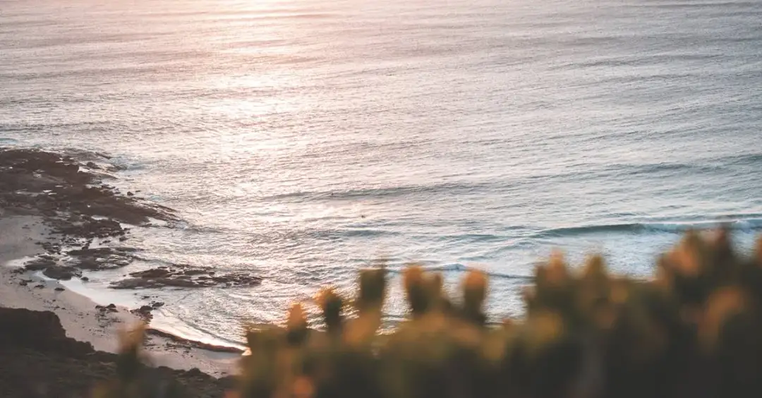 7 fryzur z "Ex na plaży: Szwecja", których należy unikać