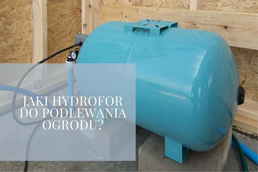 Jak wybrać idealny hydrofor do podlewania ogrodu? Porady i porównania