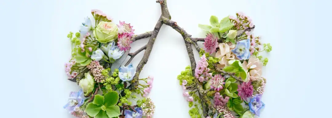 Skuteczne leki na pylenie brzozy, które złagodzą Twoje objawy alergii