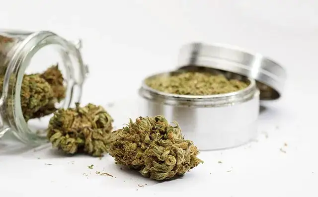 Jak stosować susz konopny dla zdrowia: metody, dawkowanie i korzyści