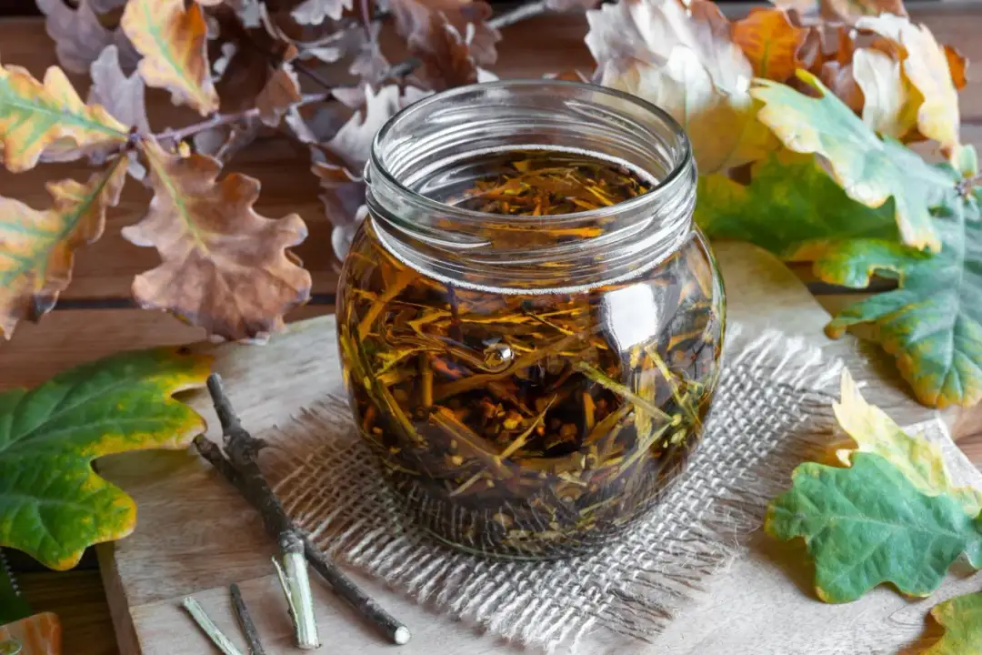 Jak zrobić napar z kory dębu na hemoroidy: najskuteczniejszy przepis domowy