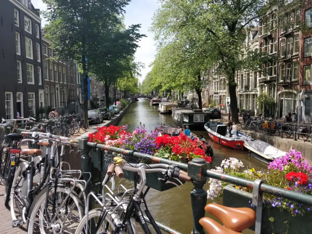 Najlepsze atrakcje w Amsterdamie, które musisz zobaczyć i przeżyć