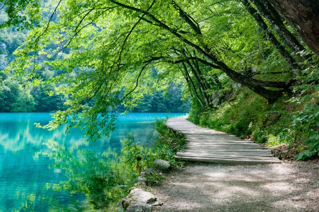 Jezioro Gronowskie - odkryj tajemnice i piękno polskich jezior