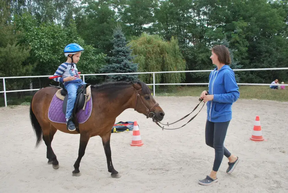 Tara ośrodek hipoterapii i jeździectwa – wyjątkowe terapie i jazda konna