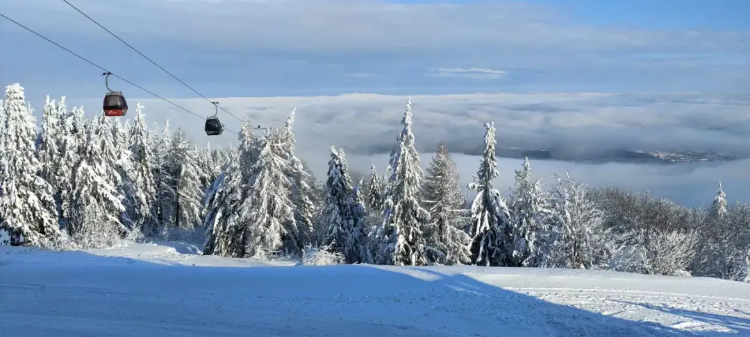 Jaworzyna Krynicka: Przewodnik po atrakcjach. Co robić latem i zimą?