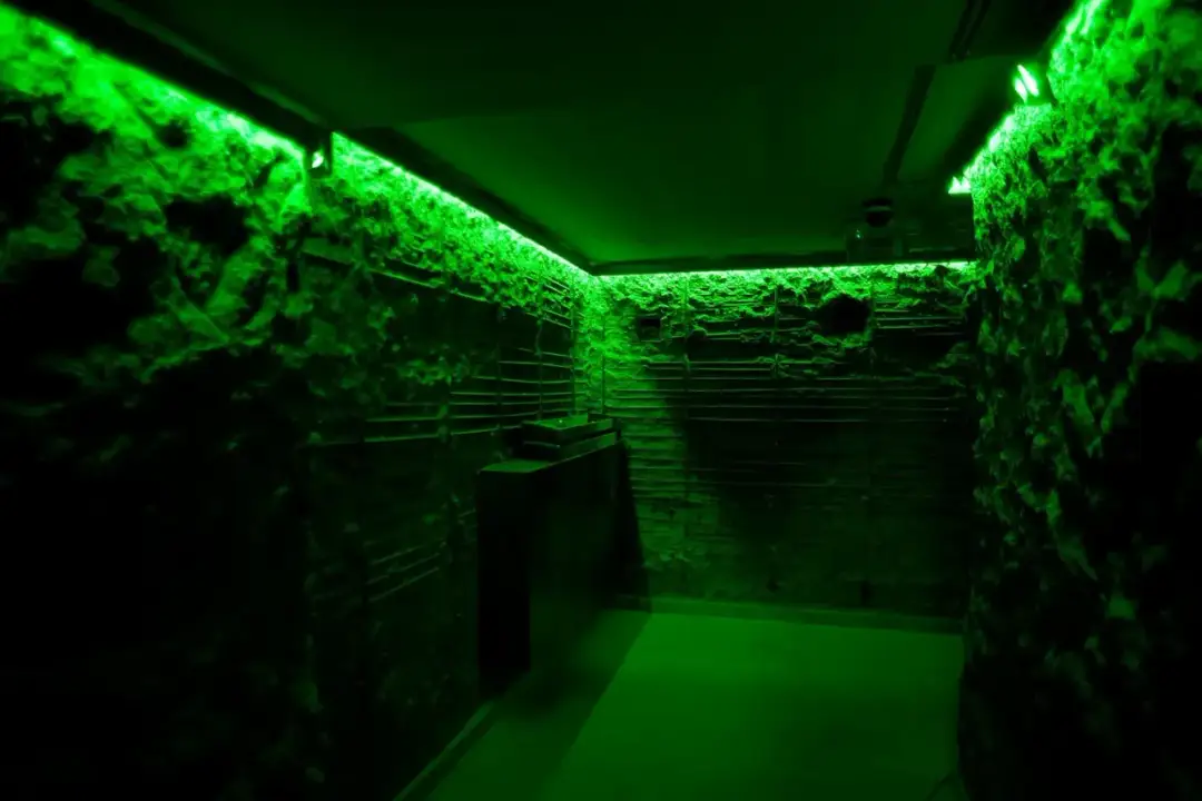 Klub Bunkier Gdańsk: Niezwykła Muzyka w Klimatycznym Schronie