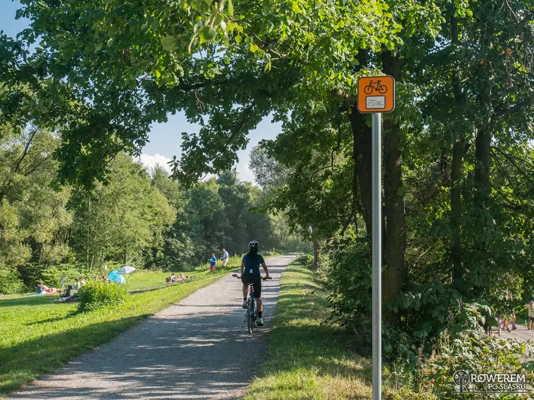 Wisła-Ustroń: Rowerem przez Beskidy idealna trasa dla rodzin