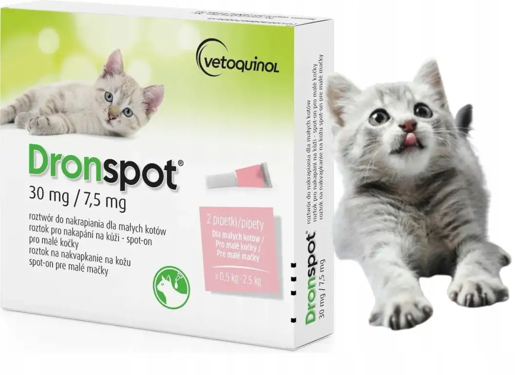 Odrobaczanie kota: Kompletny kalendarz dla zdrowego mruczka