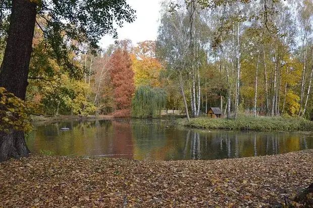 Gdzie dokładnie leży Kaliniec z Nocy i dni? Tajemnica miejsca z powieści Dąbrowskiej