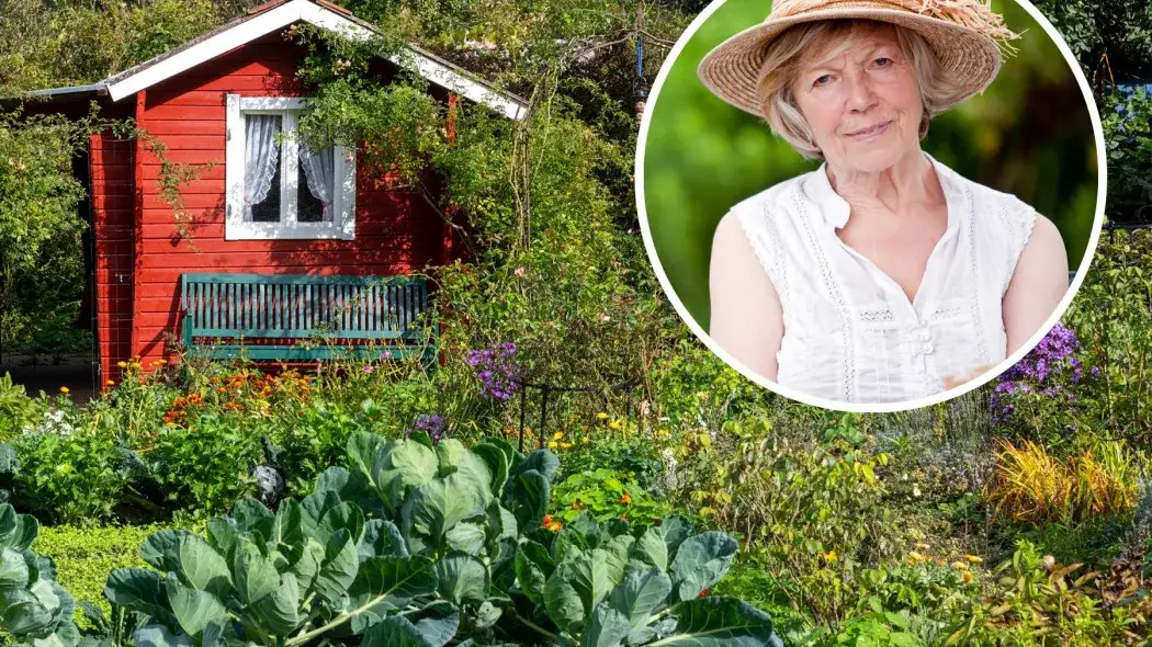 Jak kupić działkę ROD - uniknij błędów i poznaj wymagania prawne