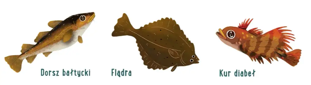 Jakie ryby pływają w Bałtyku? Przewodnik po gatunkach i smażalniach