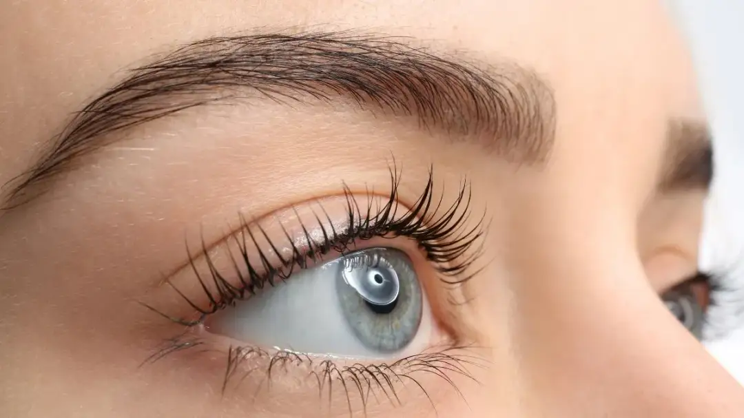 Czy rzęsy odrastają? Pełny cykl, przyczyny wypadania i jak je wzmocnić